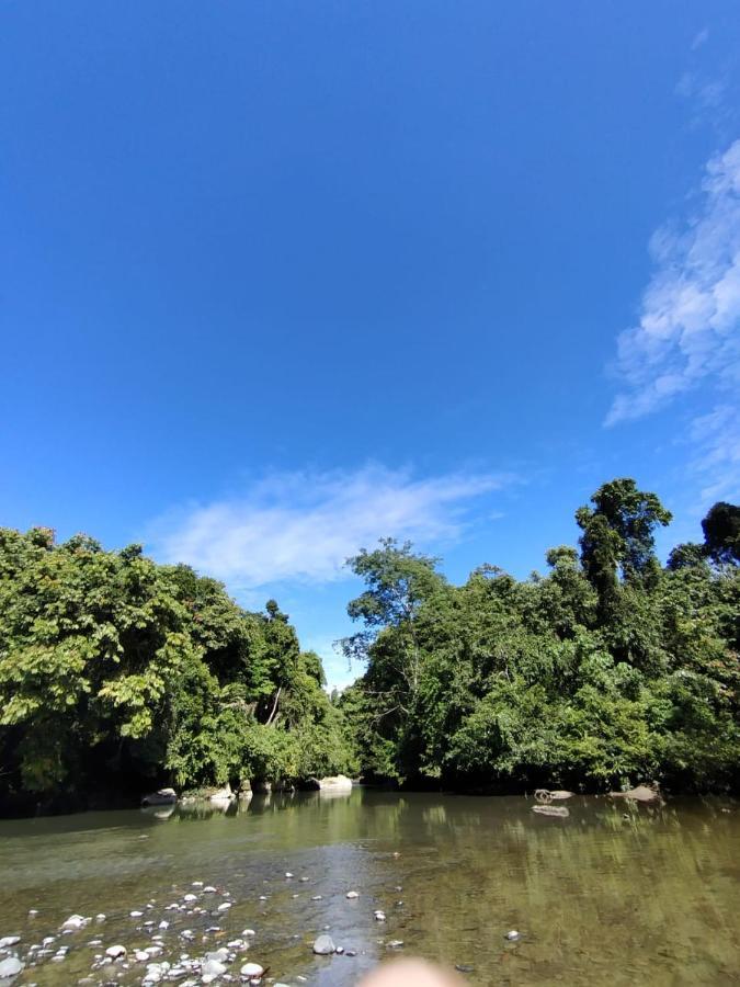 Green Lodge Tangkahan المظهر الخارجي الصورة