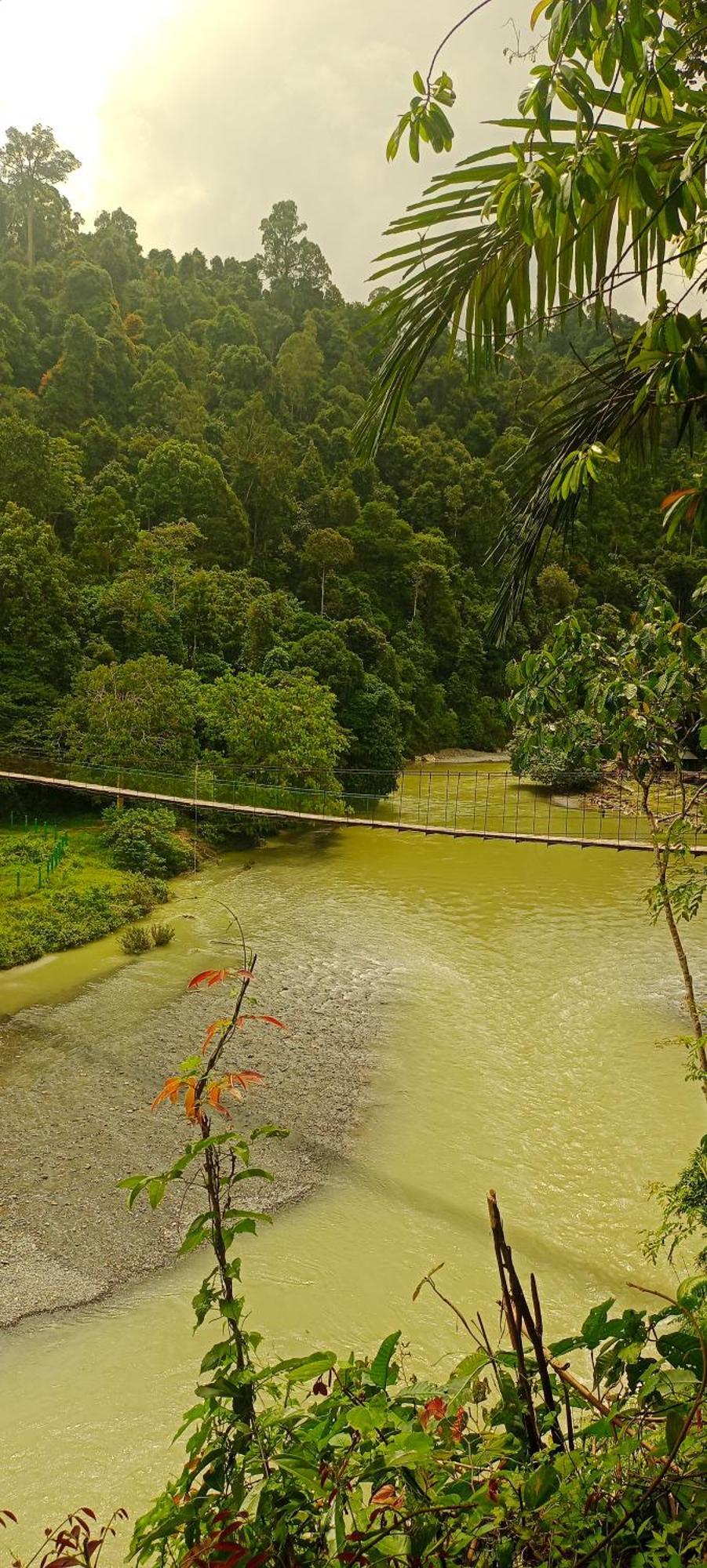 Green Lodge Tangkahan المظهر الخارجي الصورة
