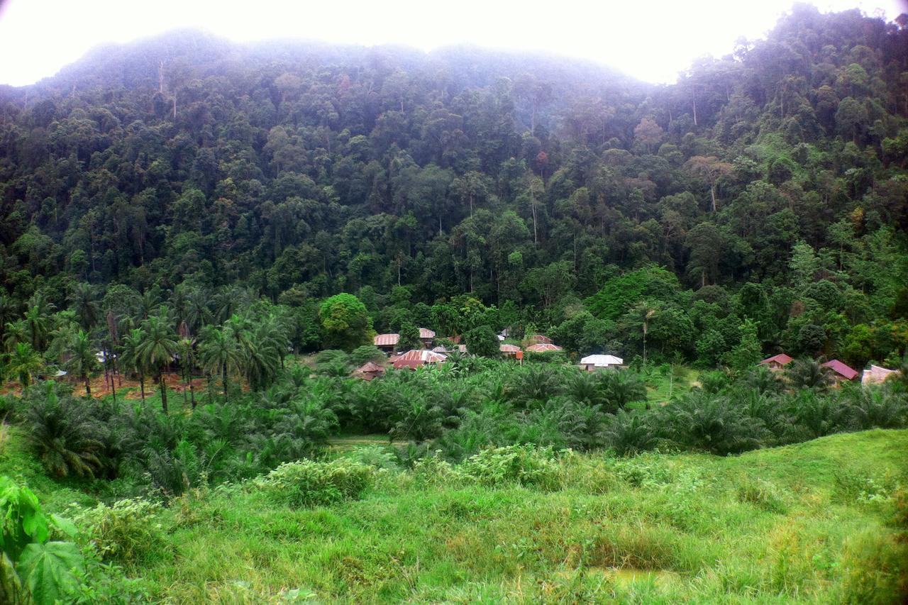 Green Lodge Tangkahan المظهر الخارجي الصورة