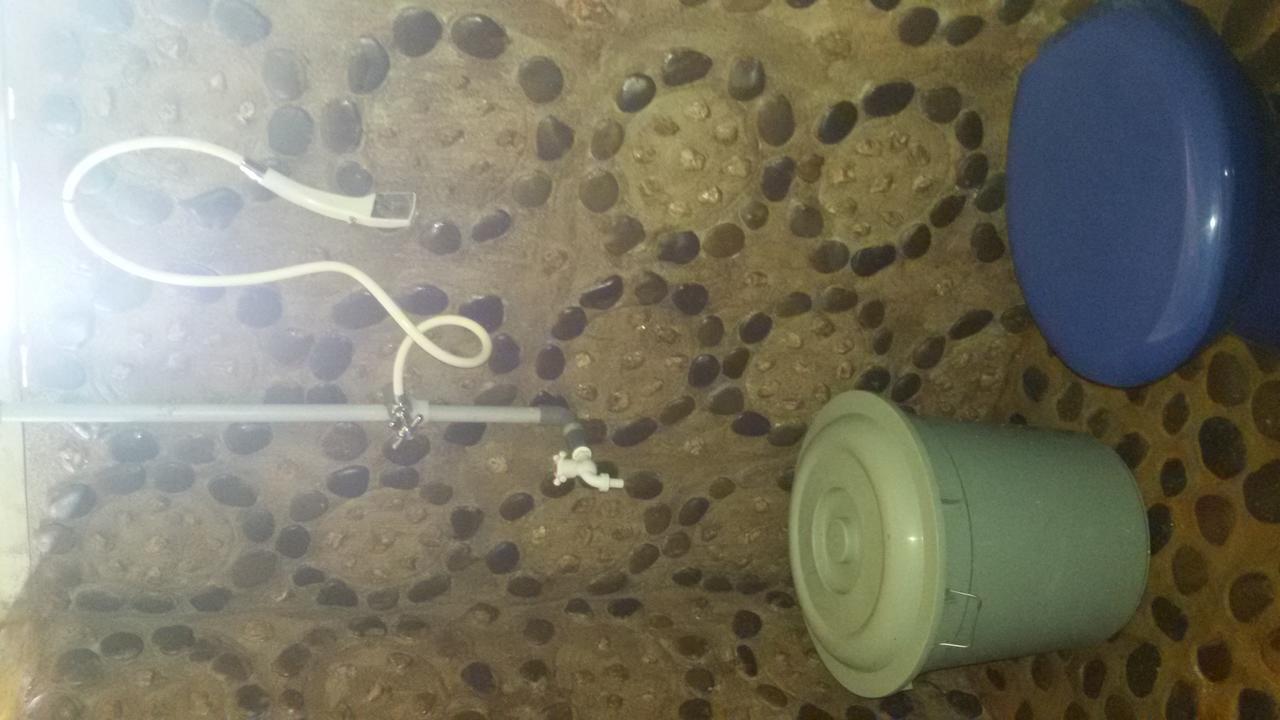 Green Lodge Tangkahan المظهر الخارجي الصورة