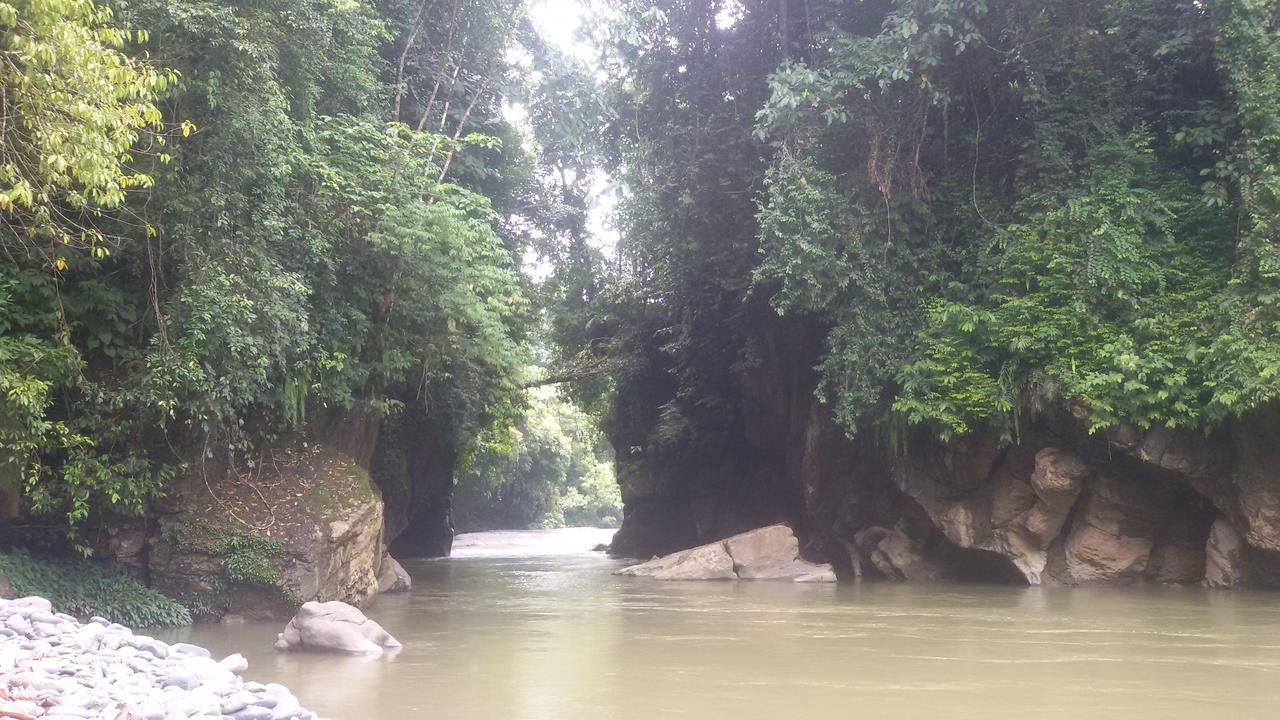 Green Lodge Tangkahan المظهر الخارجي الصورة