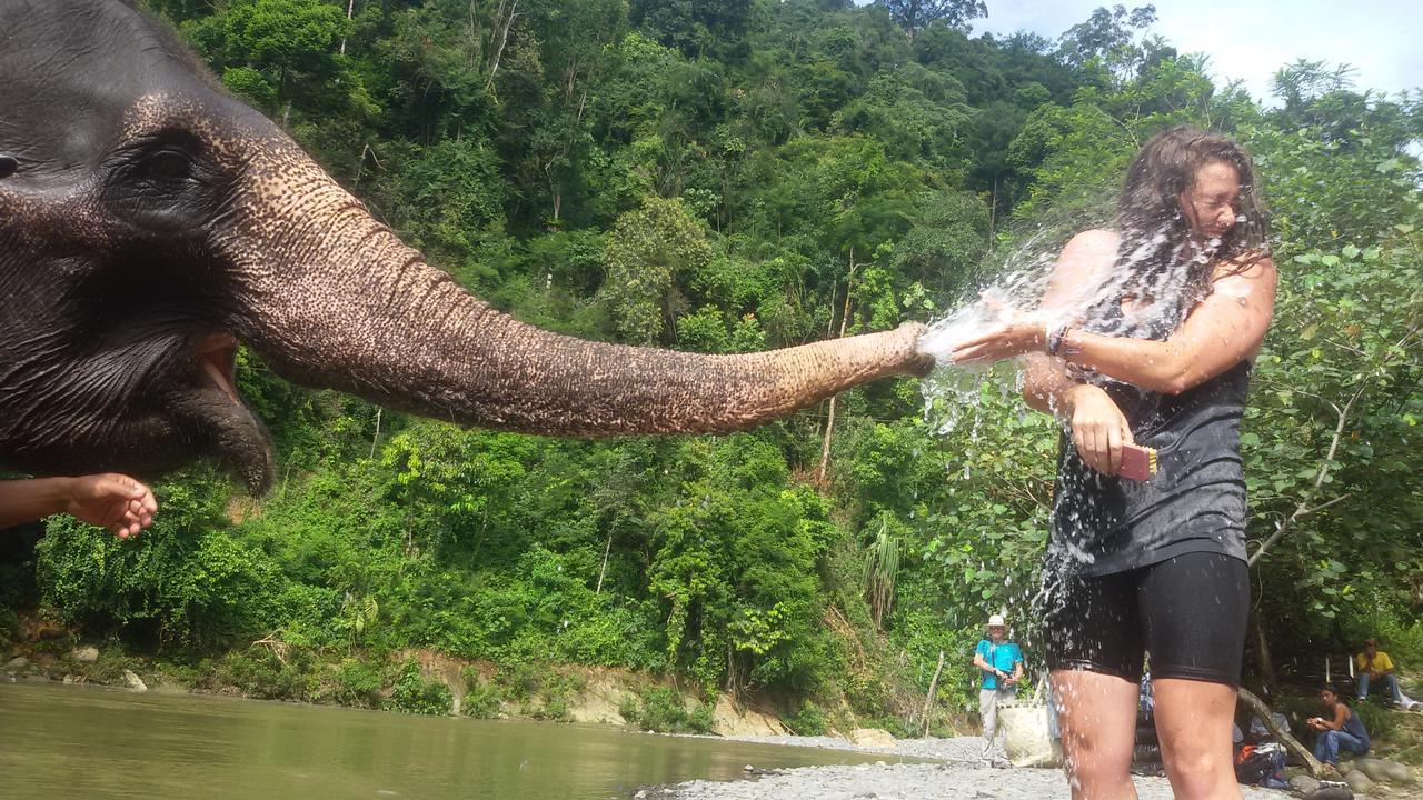 Green Lodge Tangkahan المظهر الخارجي الصورة