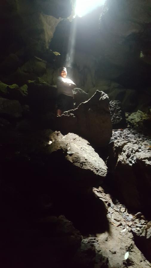 Green Lodge Tangkahan المظهر الخارجي الصورة