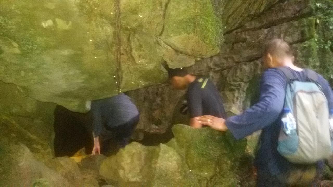 Green Lodge Tangkahan المظهر الخارجي الصورة