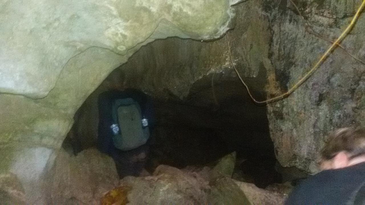 Green Lodge Tangkahan المظهر الخارجي الصورة