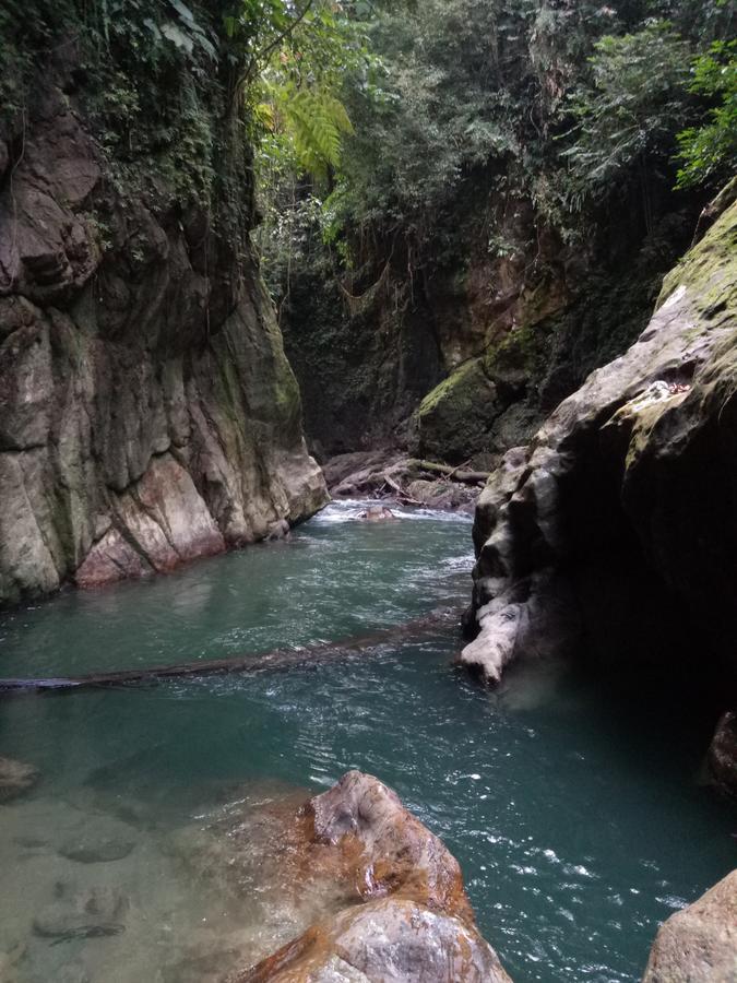 Green Lodge Tangkahan المظهر الخارجي الصورة