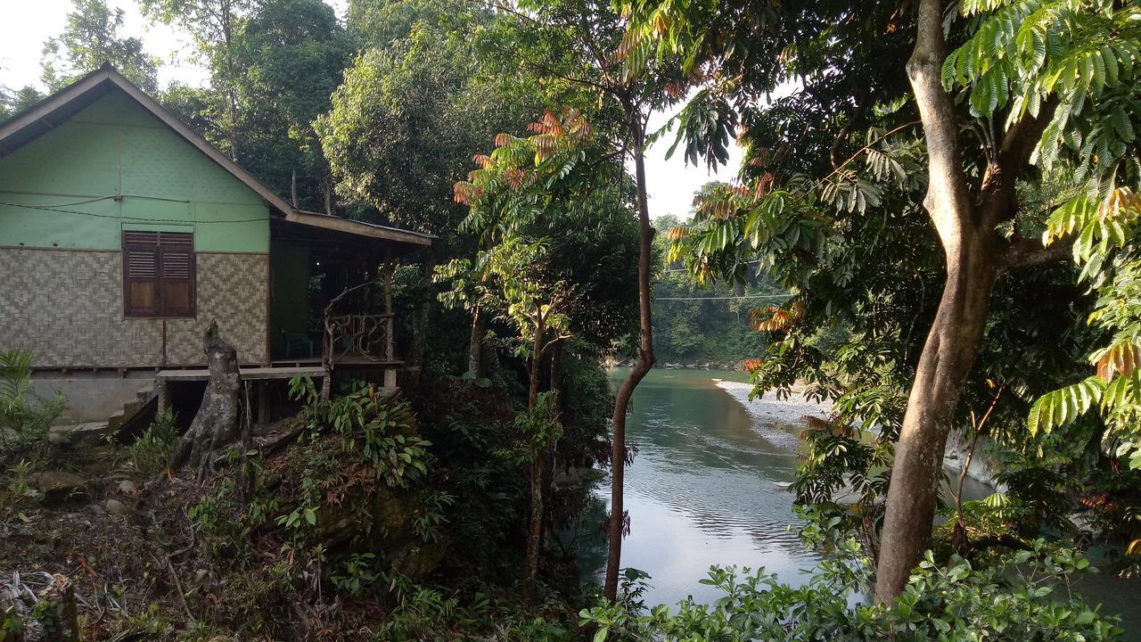 Green Lodge Tangkahan المظهر الخارجي الصورة