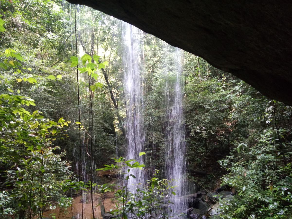 Green Lodge Tangkahan المظهر الخارجي الصورة