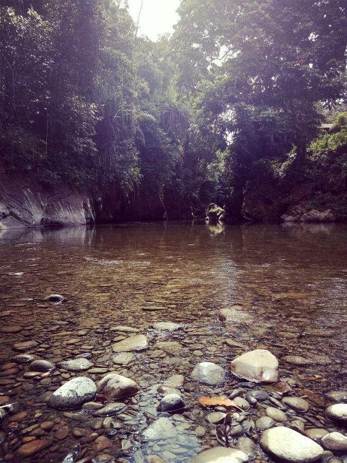 Green Lodge Tangkahan المظهر الخارجي الصورة